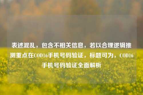 表述混乱,包含不相关信息,若以合理逻辑推测重点在COD16手机号码验证,标题可为,COD16手机号码验证全面解析