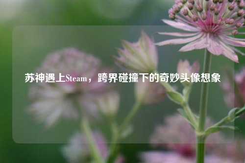 苏神遇上Steam，跨界碰撞下的奇妙头像想象
