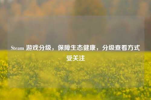 Steam 游戏分级，保障生态健康，分级查看方式受关注