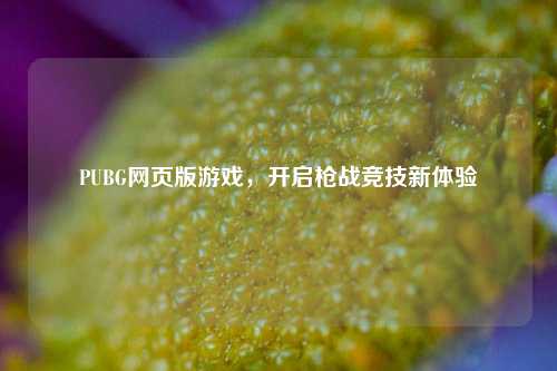 PUBG网页版游戏,开启枪战竞技新体验