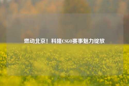 燃动北京！科隆CSGO赛事魅力绽放