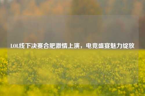 LOL线下决赛合肥激情上演，电竞盛宴魅力绽放