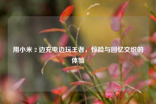 用小米 2 边充电边玩王者,惊险与回忆交织的体验