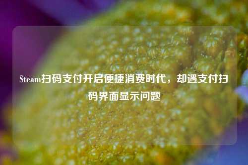 Steam扫码支付开启便捷消费时代，却遇支付扫码界面显示问题
