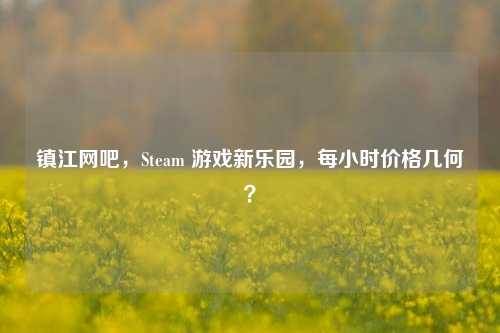 镇江网吧，Steam 游戏新乐园，每小时价格几何？