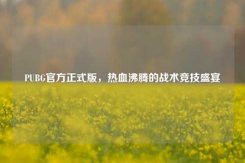 PUBG官方正式版，热血沸腾的战术竞技盛宴
