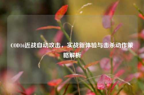 COD16近战自动攻击，实战新体验与击杀动作策略解析