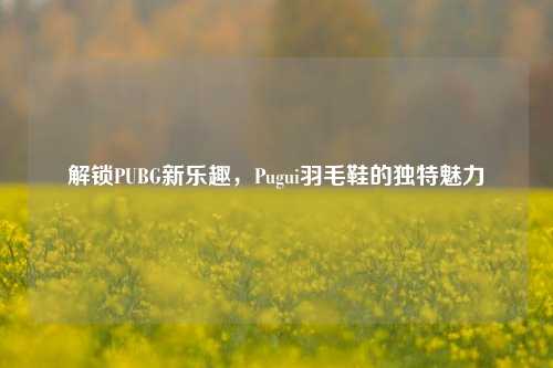 解锁PUBG新乐趣,Pugui羽毛鞋的独特魅力