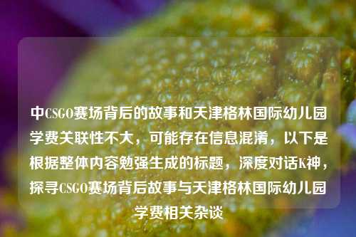 中CSGO赛场背后的故事和天津格林国际幼儿园学费关联性不大，可能存在信息混淆，以下是根据整体内容勉强生成的标题，深度对话K神，探寻CSGO赛场背后故事与天津格林国际幼儿园学费相关杂谈