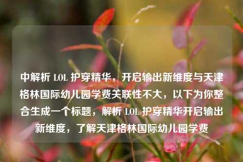 中解析 LOL 护穿精华,开启输出新维度与天津格林国际幼儿园学费关联性不大,以下为你整合生成一个标题,解析 LOL 护穿精华开启输出新维度,了解天津格林国际幼儿园学费