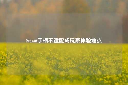 Steam手柄不适配成玩家体验痛点
