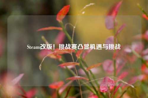Steam改版!挑战赛凸显机遇与挑战