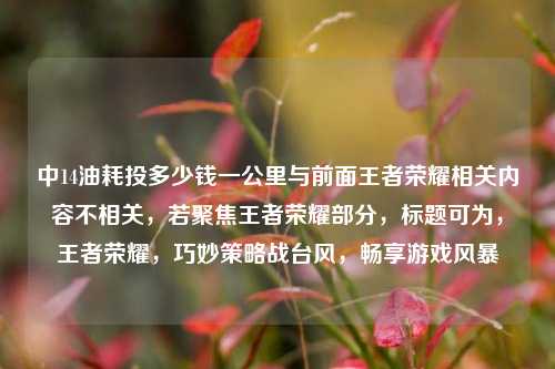中14油耗投多少钱一公里与前面王者荣耀相关内容不相关，若聚焦王者荣耀部分，标题可为，王者荣耀，巧妙策略战台风，畅享游戏风暴