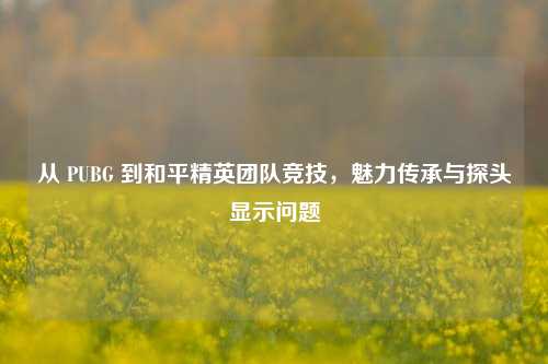 从 PUBG 到和平精英团队竞技，魅力传承与探头显示问题