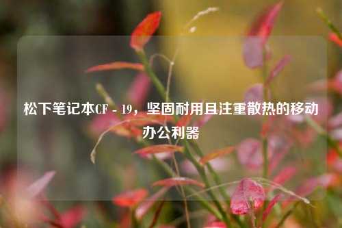 松下笔记本CF - 19，坚固耐用且注重散热的移动办公利器