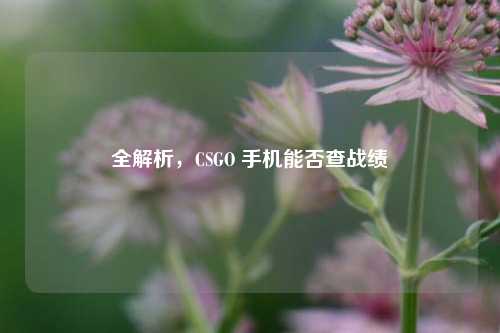 全解析,CSGO 手机能否查战绩