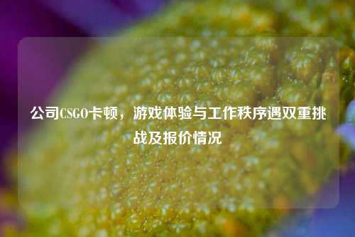 公司CSGO卡顿，游戏体验与工作秩序遇双重挑战及报价情况