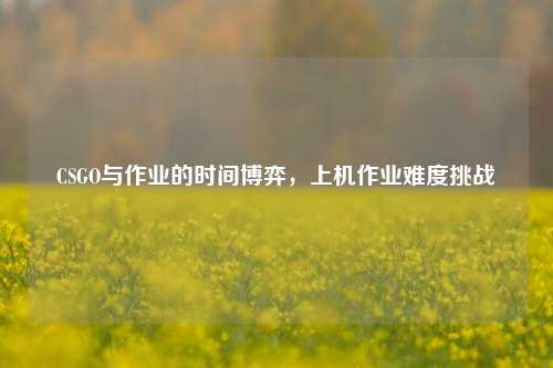 CSGO与作业的时间博弈,上机作业难度挑战