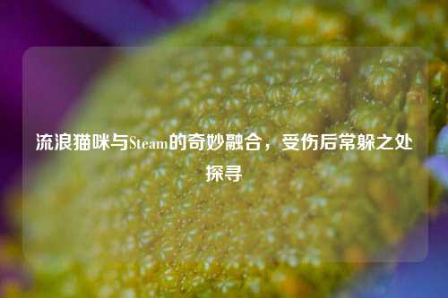 流浪猫咪与Steam的奇妙融合，受伤后常躲之处探寻