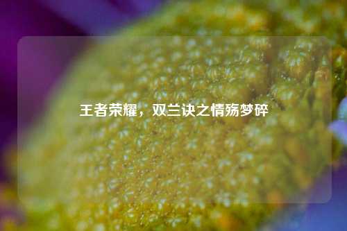 王者荣耀,双兰诀之情殇梦碎