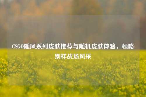 CSGO随风系列皮肤推荐与随机皮肤体验,领略别样战场风采
