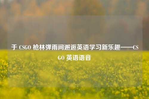 于 CSGO 枪林弹雨间邂逅英语学习新乐趣——CSGO 英语语音