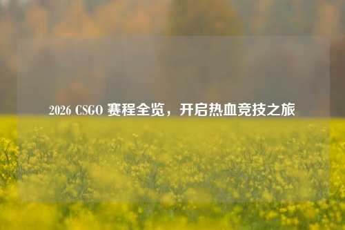 2026 CSGO 赛程全览,开启热血竞技之旅