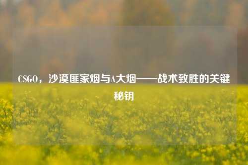 CSGO,沙漠匪家烟与A大烟——战术致胜的关键秘钥