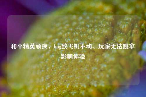 和平精英顽疾,bug致飞机不动、玩家无法跳伞影响体验
