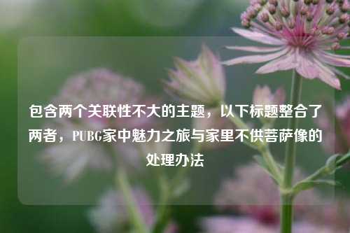 包含两个关联性不大的主题,以下标题整合了两者,PUBG家中魅力之旅与家里不供菩萨像的处理办法