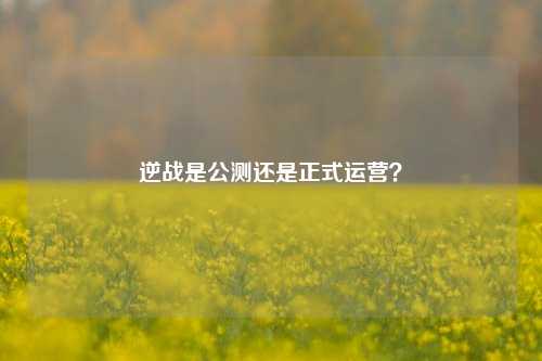 逆战是公测还是正式运营?