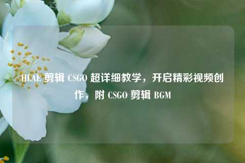 HLAE 剪辑 CSGO 超详细教学，开启精彩视频创作，附 CSGO 剪辑 BGM
