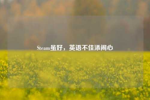 Steam虽好,英语不佳添闹心