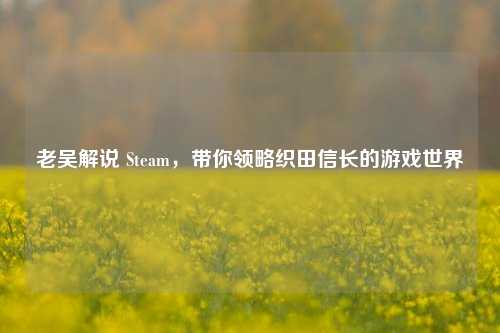 老吴解说 Steam,带你领略织田信长的游戏世界