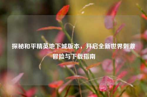 探秘和平精英地下城版本,开启全新世界刺激冒险与下载指南