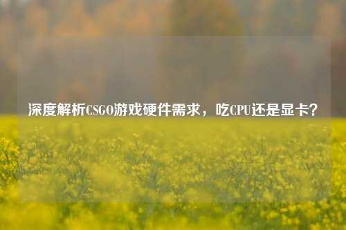 深度解析CSGO游戏硬件需求,吃CPU还是显卡?
