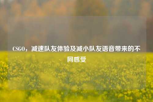CSGO，减速队友体验及减小队友语音带来的不同感受