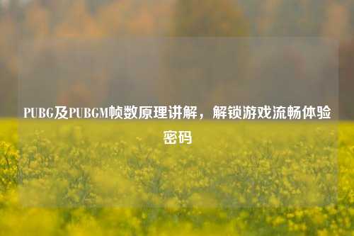 PUBG及PUBGM帧数原理讲解，解锁游戏流畅体验密码