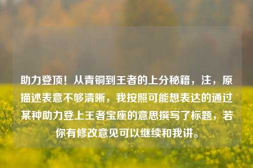 助力登顶!从青铜到王者的上分秘籍,注,原描述表意不够清晰,我按照可能想表达的通过某种助力登上王者宝座的意思撰写了标题,若你有修改意见可以继续和我讲。