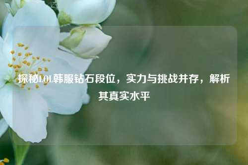 探秘LOL韩服钻石段位,实力与挑战并存,解析其真实水平