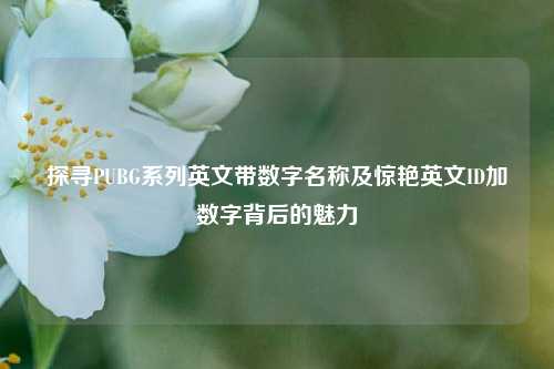 探寻PUBG系列英文带数字名称及惊艳英文ID加数字背后的魅力