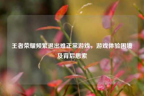 王者荣耀频繁退出难正常游戏，游戏体验困境及背后思索