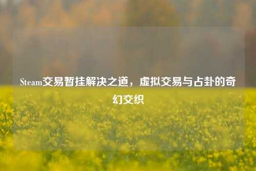 Steam交易暂挂解决之道，虚拟交易与占卦的奇幻交织