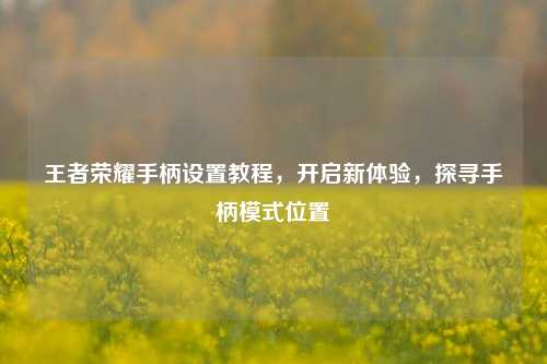 王者荣耀手柄设置教程,开启新体验,探寻手柄模式位置