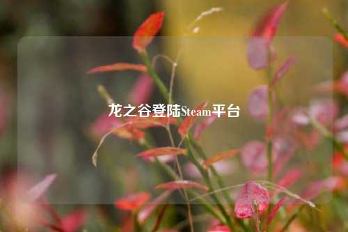 龙之谷登陆Steam平台