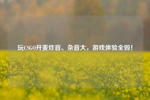 玩CSGO开麦炸音、杂音大，游戏体验全毁！