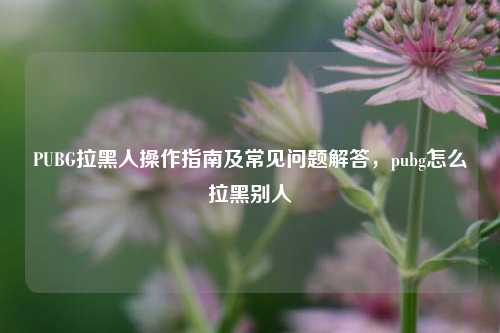PUBG拉黑人操作指南及常见问题解答，pubg怎么拉黑别人