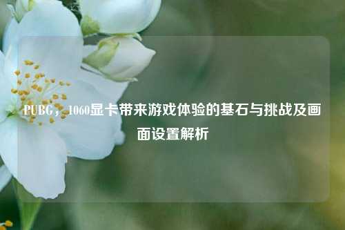 PUBG，1060显卡带来游戏体验的基石与挑战及画面设置解析