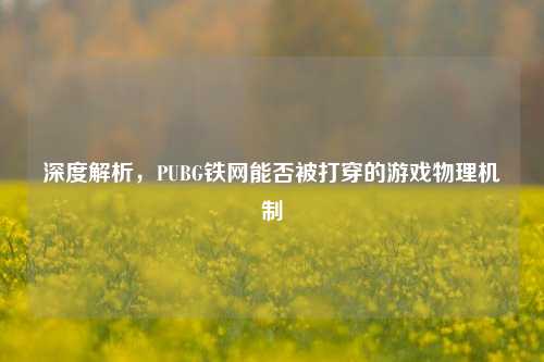 深度解析，PUBG铁网能否被打穿的游戏物理机制