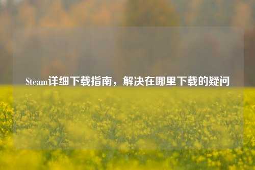 Steam详细下载指南,解决在哪里下载的疑问